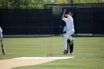 cricket