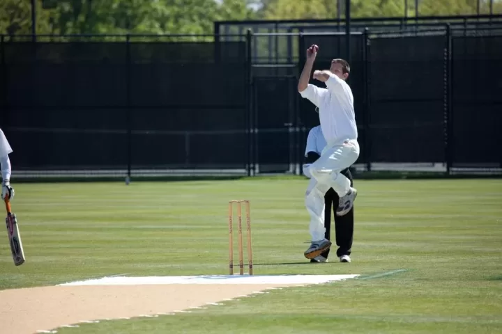 cricket