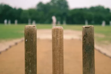 Summer Cricket