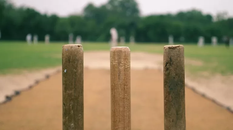 Summer Cricket
